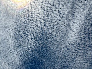 Altocumulus clouds are mid-level clouds that appear as rounded masses or rolls, described as looking like sheep's wool or fish scales, hence the common nicknames 