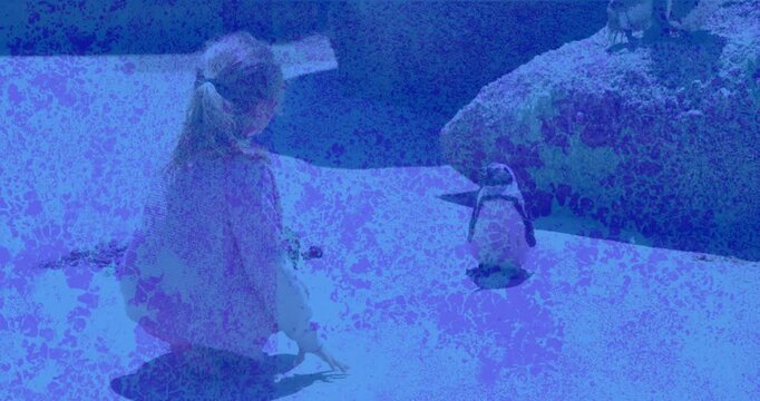 Kneeling child presenting treat to penguin motivating cautious approach in educational zoo exhibit