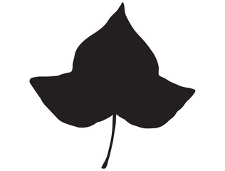 Fototapeta premium IVY LEAF SILHOUETTE
