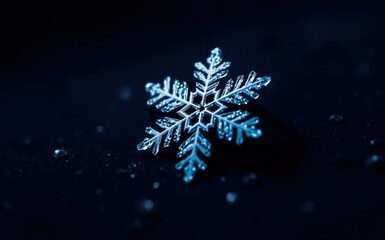 Intricate Snowflake Crystal with Water Droplets on Dark Surface