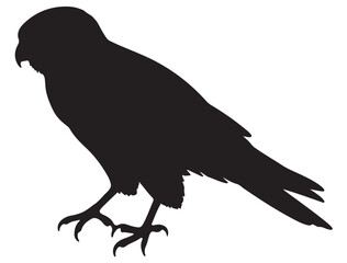 KESTREL BIRD SILHOUETTE