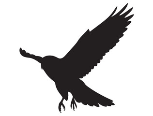 KESTREL BIRD SILHOUETTE