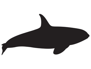 KILLER WHALE SILHOUETTE