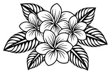 Black and white line art tropical flowers and leaves
