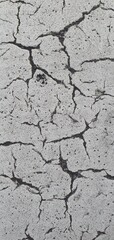 Detailed close-up texture of aged and weathered white asphalt with deep cracks and black underlayer visible. Ideal for backgrounds, urban decay concepts, and material texture references.