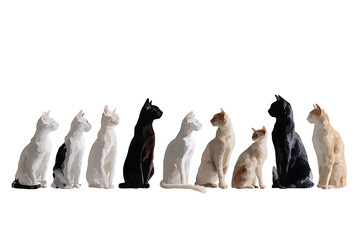 cat breed illustrations, art style depicting cute poses of various cat breeds with vibrant flat illustrations