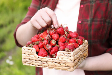 Woman holding basket with fresh strawberries outdoors, closeup