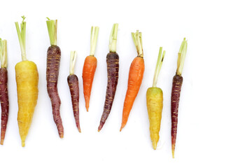 Fresh carrot vegetables, Ripe carrots