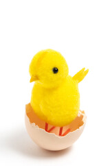 Cute yellow chicken in an eggshell isolated on white background.