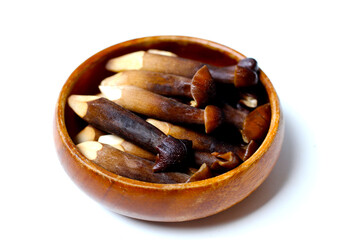 Termite mushrooms with long stems, white tips, and dark brown caps.