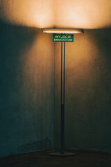 Minimalist Emergency Exit Sign Under Lamp in a Dark, Textured Interior
