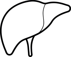 Black and White Line Drawing of Human Liver with Lobe Division