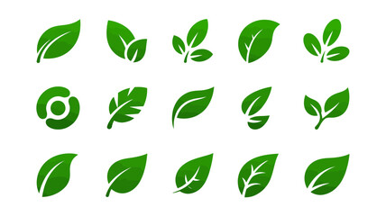 Green Leaves Illustrations: An arrangement of various green leaves is presented on a clean surface, each rendered with its unique shape, capturing the beauty of nature's delicate artistry. 