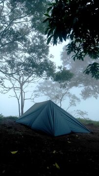 A dark-colored flysheet tent stands on a misty mountain peak, surrounded by tall trees and foggy skies, creating a serene and secluded camping atmosphere.
