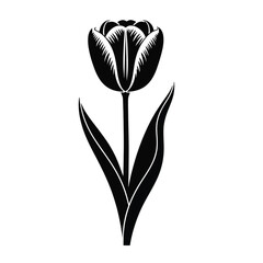 Obraz premium black and white flower