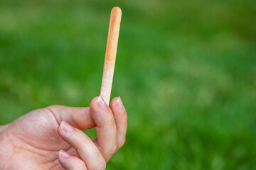 Young woman holding an empty wooden stick of popsicle ice  after she finished eating it. Blurred...