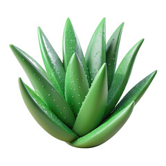Fototapeta premium 3d lush aloe vera plant with water droplets isolated on transparent background