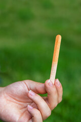Young woman holding an empty wooden stick of popsicle ice  after she finished eating it. Blurred green backdrop. Selective focus
