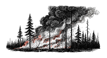Fototapeta premium Ink sketch of a forest fire, hand-drawn illustration in vintage style, engraving or woodcut, SVG vector