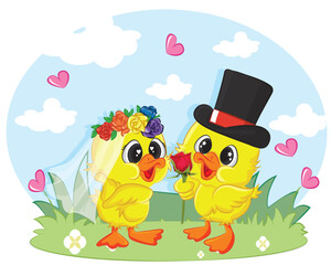 Duck marriage between two whole dressed ducks. Graphic element for valentine card.
