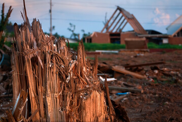Snapped tree and church rebuilding after April 27, 2011 EF4 tornado in Tuscaloosa Alabama