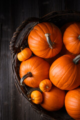 Close-up of wicker basket full of orange pumpkins in various sizes for fall harvest. Seasonal holiday background perfect for Thanksgiving or Halloween decor