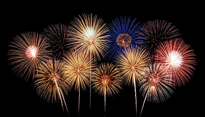 Fireworks explode in a vibrant display against a black night sky