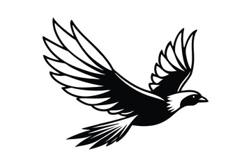 Obraz premium Black silhouette of a bird in flight flying wings