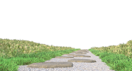 grass along the stones path