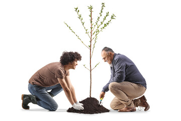 Mature and young man planting tree