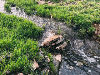 A Small, Clear Brook Flowing Through Vibrant Green Grass and Rocks