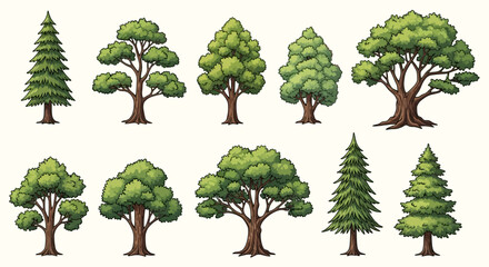 Set of Cartoon Trees Illustrations