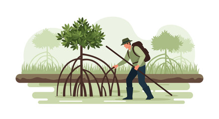 Mangrove Conservationist Exploring Root Systems In A Protected Ecosystem Illustration