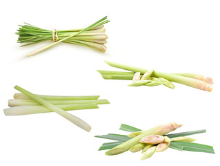 Set of Fresh lemongrass plant isolated on white background  on transparent.