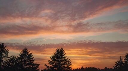 Obraz premium Soft pastel-colored sunset over a horizon line with silhouette of treetops — calming and warm 2