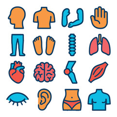 Fototapeta premium Body parts icon collection. vibrant body, head, heart, brain, arm, leg, linear