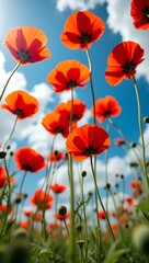 Obraz premium a vibrant field of red poppies under a bright, sunny sky with clouds