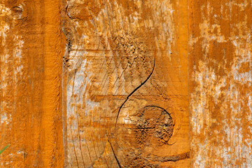 Cracked wood texture forming a curl.