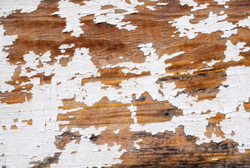 Wood painted white peeling off texture background.