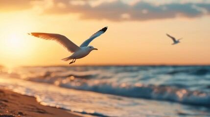 Naklejka premium Majestic Seagulls Gliding Effortlessly Above the Calm Golden Hued Waves Lapping the Shore at Sunset A Serene and Beautiful Coastal Landscape