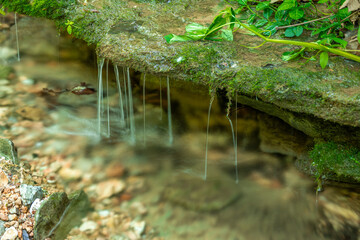 Thin Water Drips Over Mossy Ledge into Clear Creek