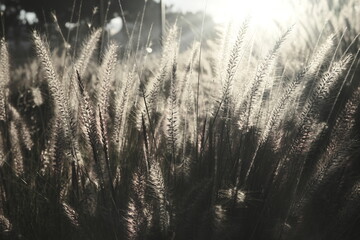 Hope in the city: life in progress