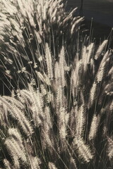 Hope in the city: life in progress