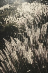 Hope in the city: life in progress