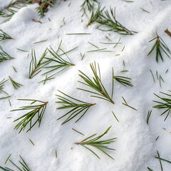 Fresh pine needles scattered on a crisp white snow surface create a serene winter landscape, perfect for evoking feelings of nature and holiday spirit.
