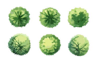 Watercolor Top View Trees Set for Landscape Architecture and Garden Planning.