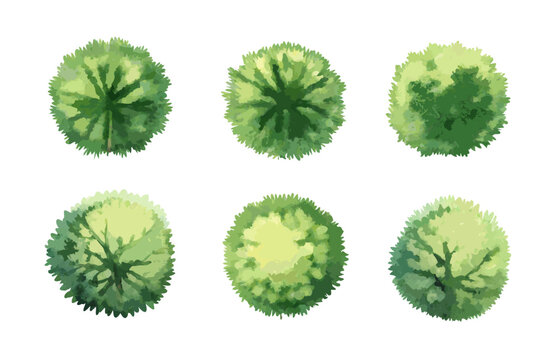 Watercolor Top View Trees Set for Landscape Architecture and Garden Planning.