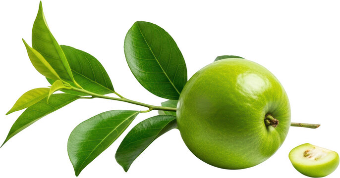 Ripe green apple with leaves and a sliced piece isolate fruit food healthy