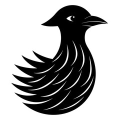 black and white bird