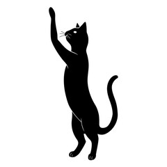 black cat silhouette